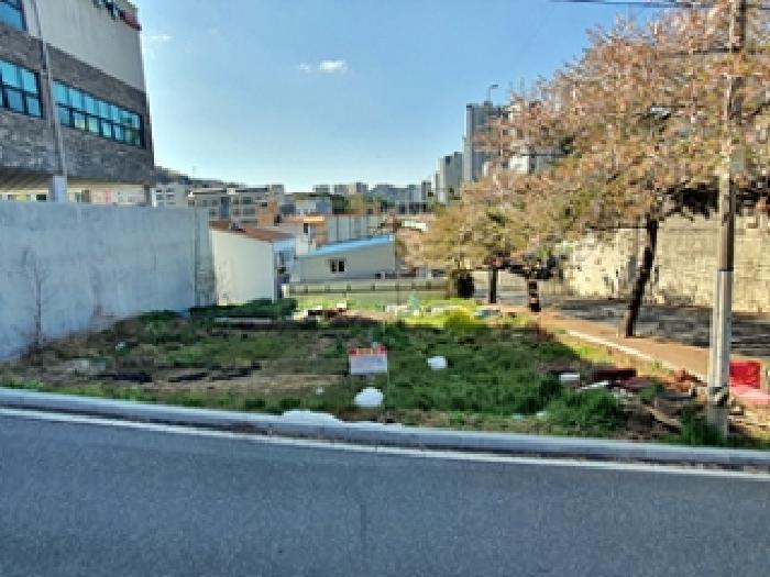 2025타경11289 대지 · 경상남도 창원시 진해구 풍호동 803