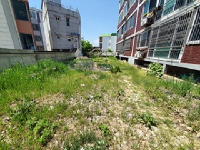 2025타경11360 전답 · 경상남도 창원시 진해구 자은동
