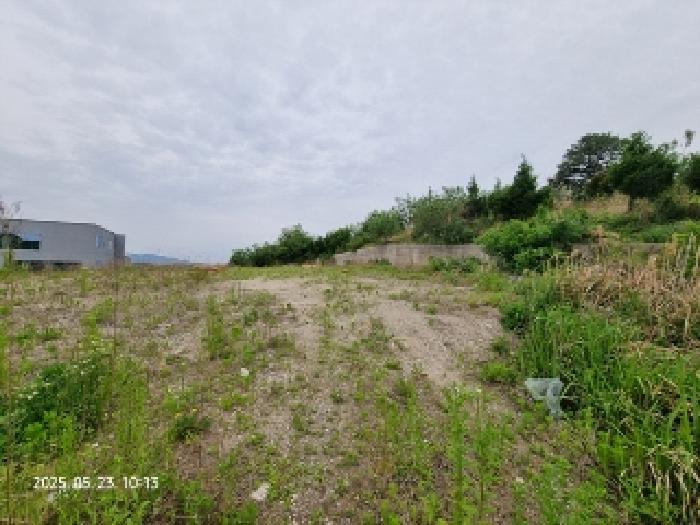 2025타경11462 임야 · 경상남도 창원시 의창구 대산면