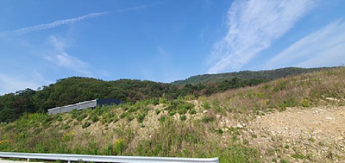 2025타경11489 대지 · 경상남도 김해시 생림면
