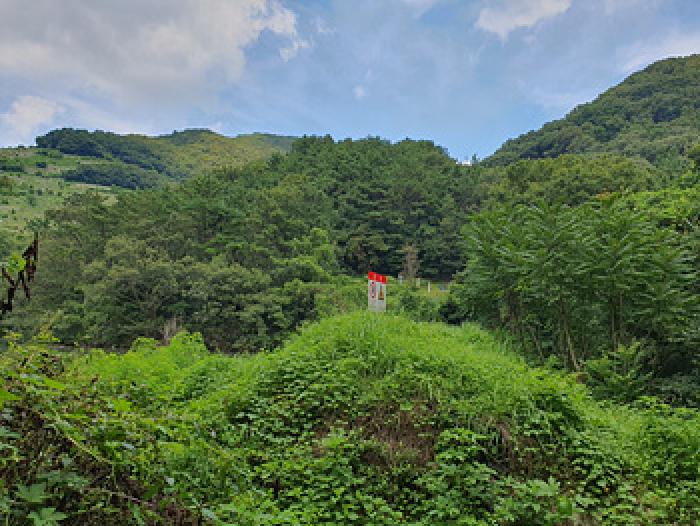 2025타경11841 임야 · 경상남도 김해시 삼계동 산126