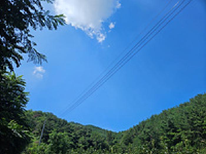2025타경11931 임야 · 경상남도 창원시 의창구 북면 신촌리 산167