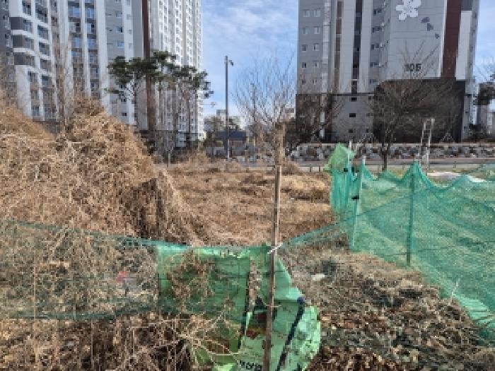 2025타경12516 대지 · 경상남도 창원시 의창구 북면 무동리 109-6