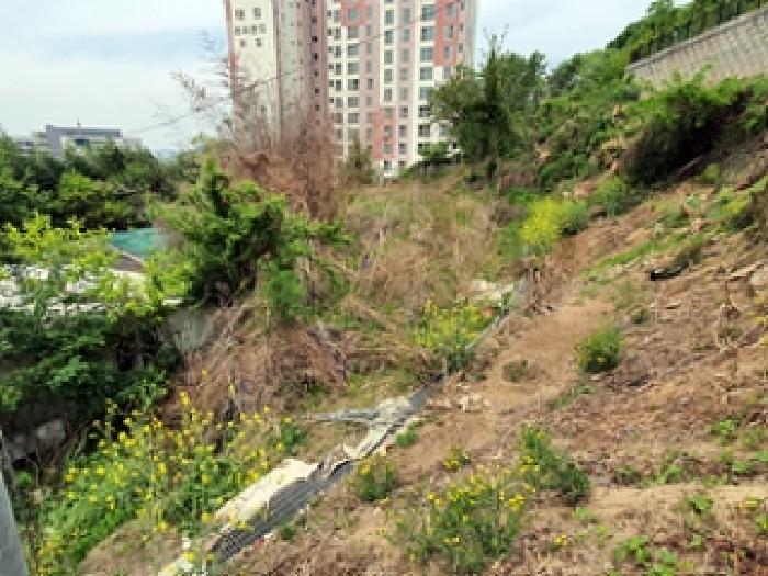2025타경463 전답 · 경상남도 김해시 지내동