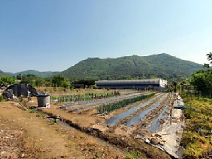 2025타경493 전답 · 경상남도 김해시 대동면