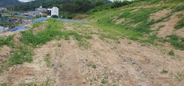 2025타경501 임야 · 경상남도 김해시 진영읍 내룡리 33-5