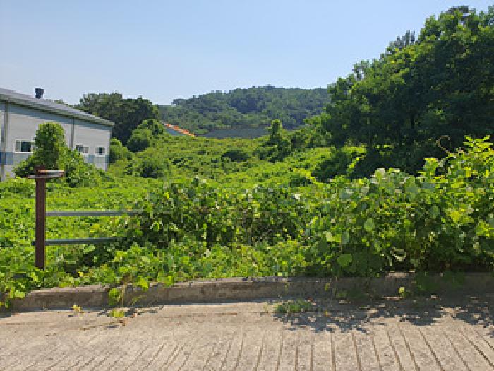 2025타경522 · 경상남도 김해시 한림면 안하리 1158-1