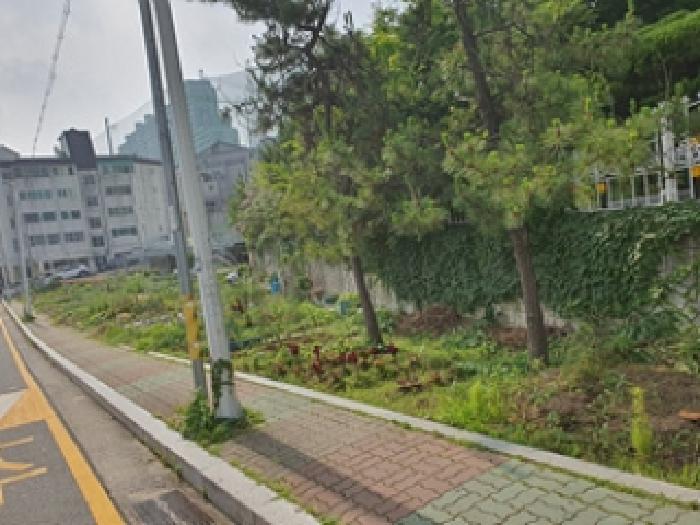 2025타경527 대지 · 경상남도 김해시 외동