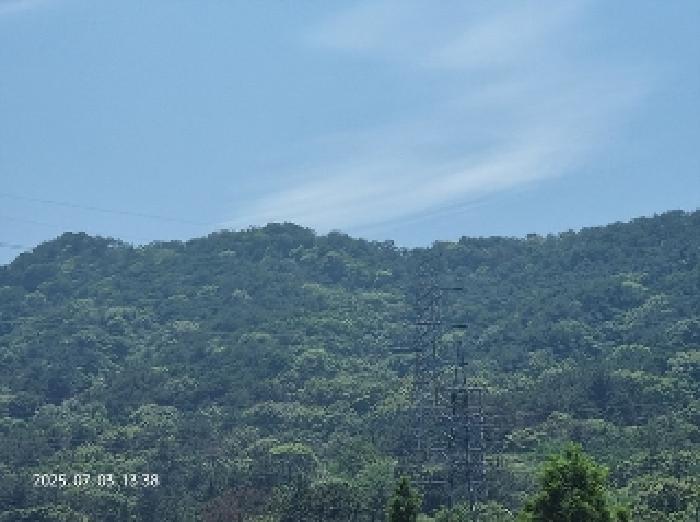 2025타경549 임야 · 경상남도 창원시 성산구 상복동 산42