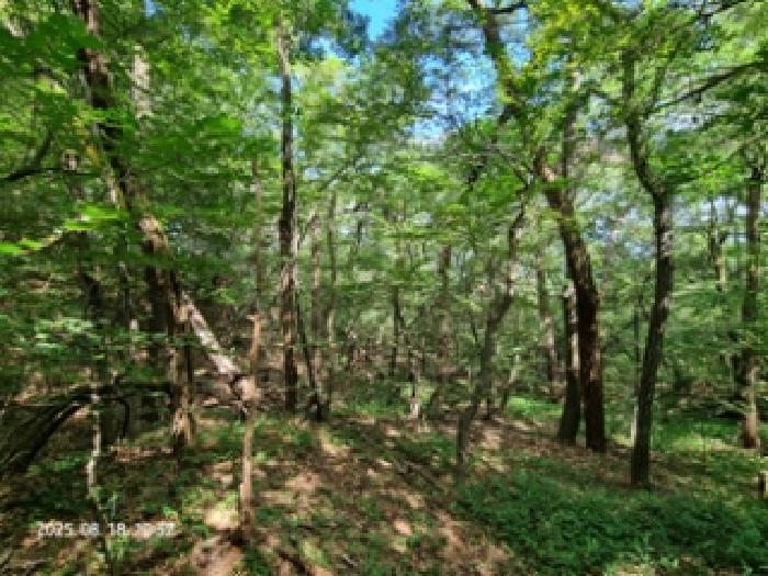 2025타경639 임야 · 경상남도 창원시 성산구 남지동