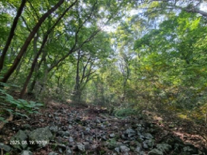 2025타경653 임야 · 경상남도 창원시 성산구 귀곡동 산70