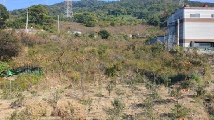 2025타경745 임야 · 경상남도 김해시 진례면 고모리 산99