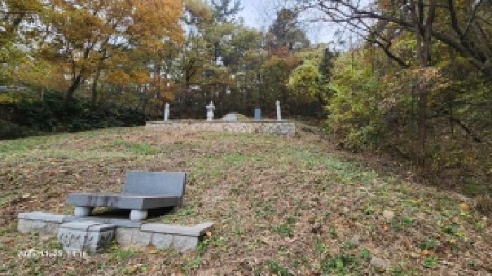 2025타경807 임야 · 경상남도 김해시 진영읍 죽곡리 519