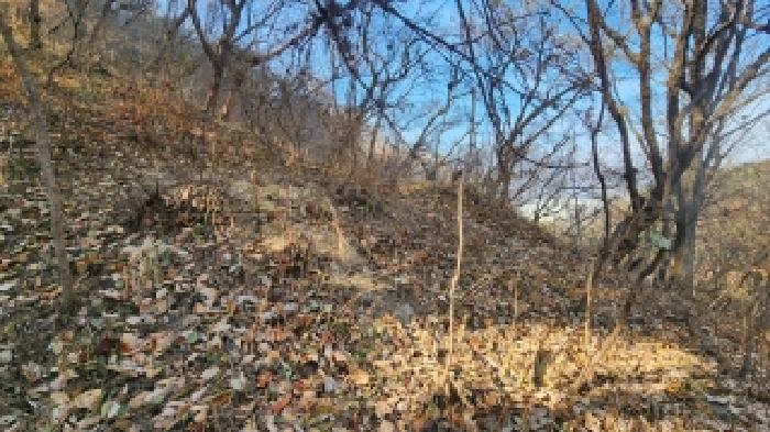 2025타경841 임야 · 경상남도 창원시 의창구 북면 동전리 산87