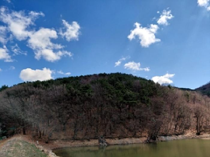 2026타경10241 임야 · 경상남도 김해시 율하동 1065-2