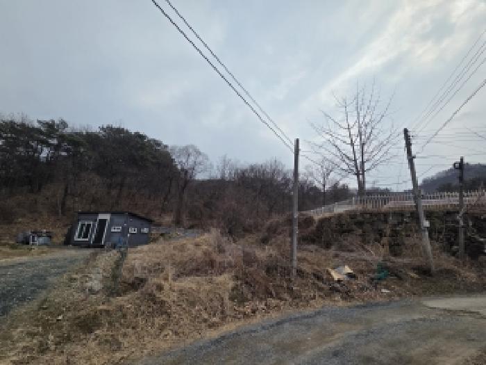 2026타경10250 임야 · 경상남도 김해시 생림면 봉림리 산188