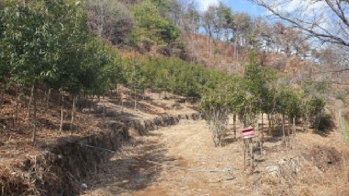 2026타경20 임야 · 경상남도 김해시 생림면 도요리 산11-17