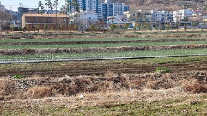 2026타경31 전답 · 경상남도 김해시 주촌면 천곡리 950-1