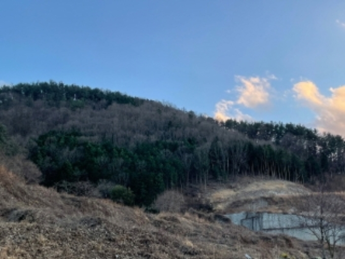 2023타경39283 임야 · 경상남도 사천시 실안동