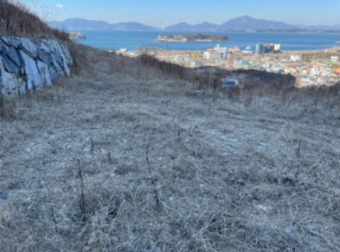 2023타경39290 임야 · 경상남도 사천시 실안동 산247-1