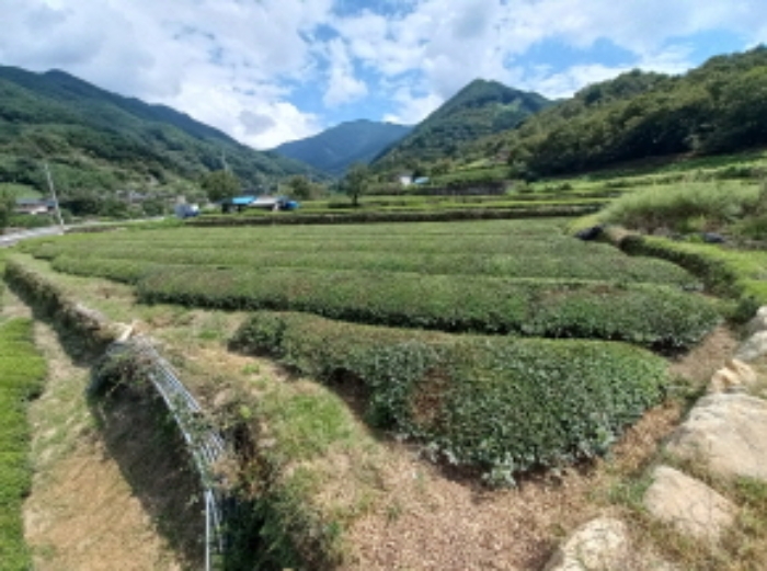 2023타경4829 전답 · 경상남도 하동군 화개면