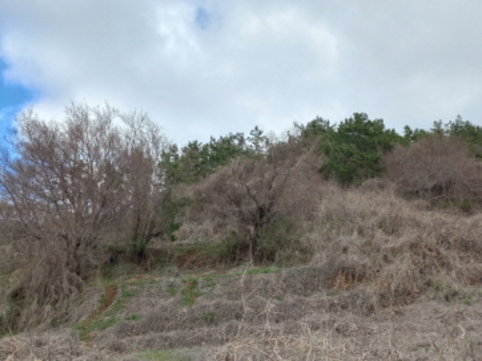 2024타경1575 · 경상남도 남해군 남면 선구리 464-2