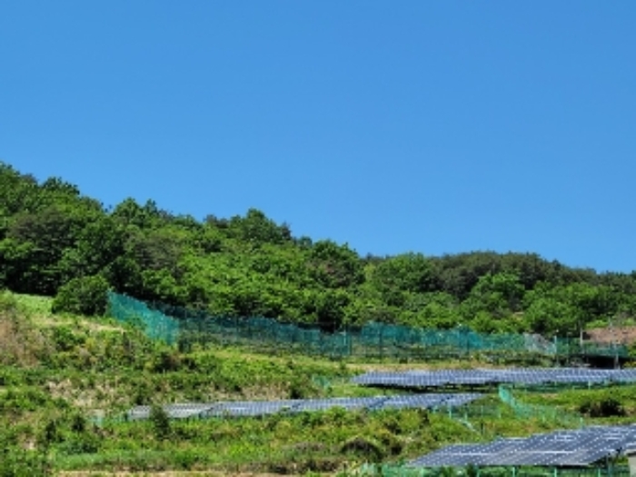 2024타경31057 대지 · 경상남도 하동군 양보면