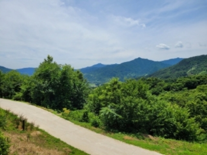 2024타경3151 대지 · 경상남도 하동군 악양면