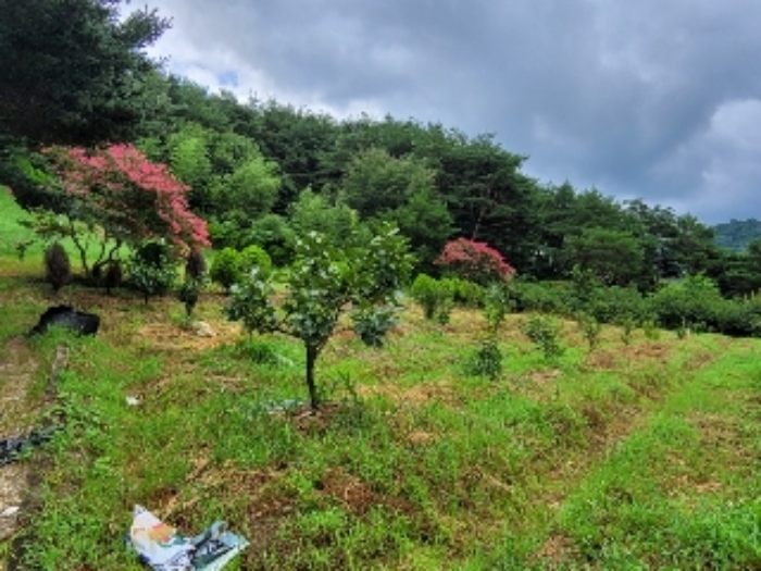 2024타경36038 대지 · 경상남도 산청군 단성면