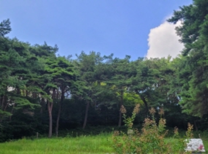 2024타경36205 대지 · 경상남도 하동군 옥종면