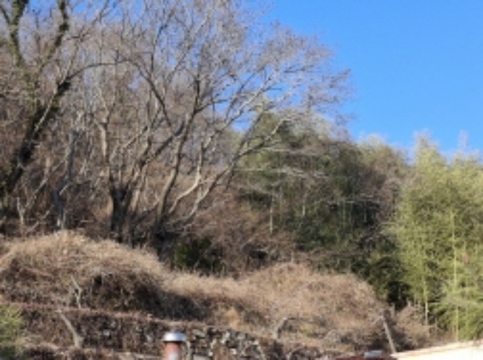 2024타경40235 · 경상남도 남해군 상주면 양아리 614