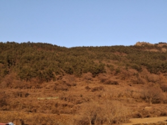 2024타경40358 임야 · 경상남도 남해군 남면 선구리 산75