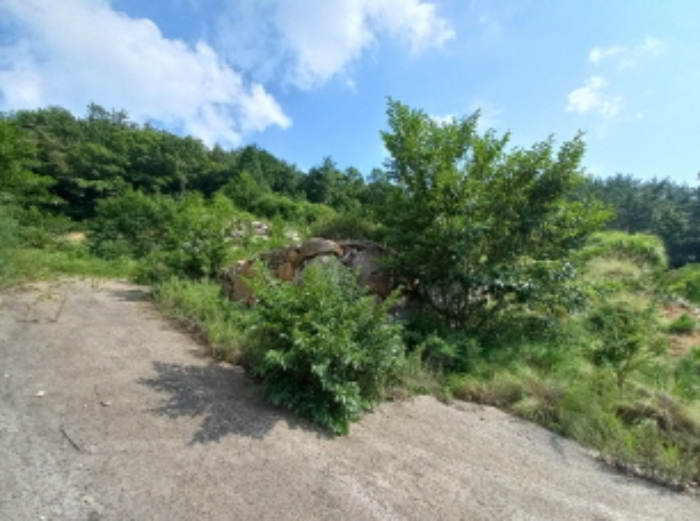 2024타경4123 대지 · 경상남도 사천시 죽림동