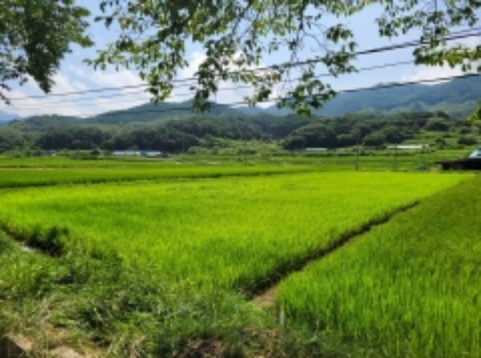 2024타경4307 대지 · 경상남도 산청군 오부면