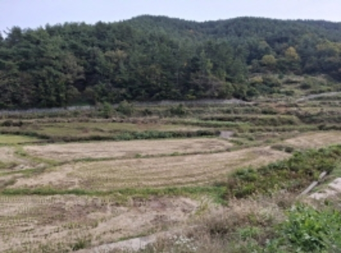 2024타경5850 임야 · 경상남도 남해군 삼동면 지족리 산44-2