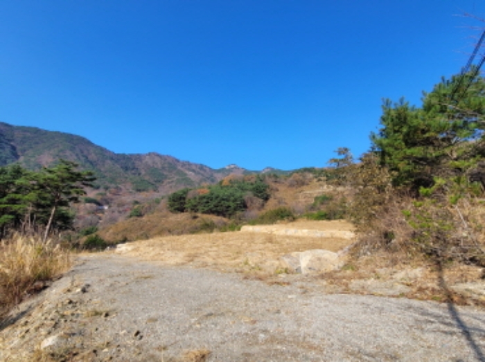 2024타경6211 임야 · 경상남도 산청군 신안면 외송리 산15-6