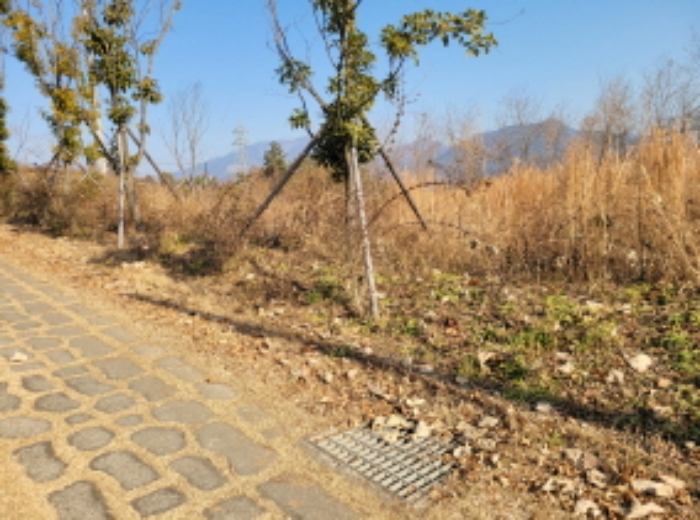 2024타경6587 대지 · 경상남도 하동군 금남면