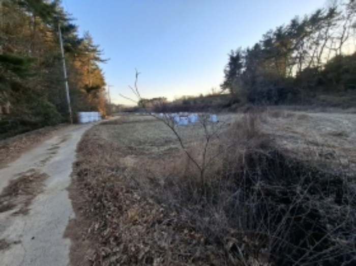 2024타경6617 대지 · 경상남도 남해군 설천면