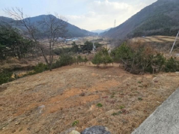 2024타경6624 임야 · 경상남도 산청군 단성면 운리 산98-49