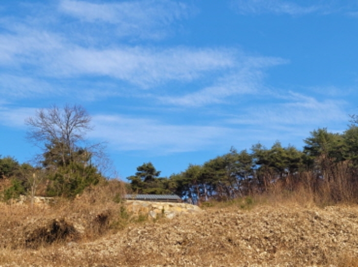 2024타경6631 임야 · 경상남도 산청군 단성면
