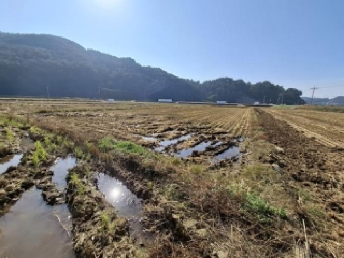 2025타경1002 · 경상남도 남해군 서면 정포리 1036