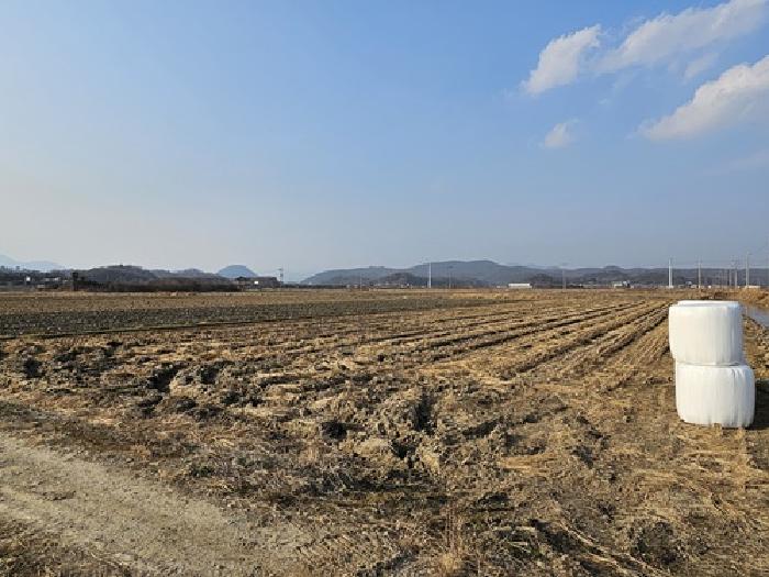 2025타경1033 전답 · 경상남도 하동군 금성면