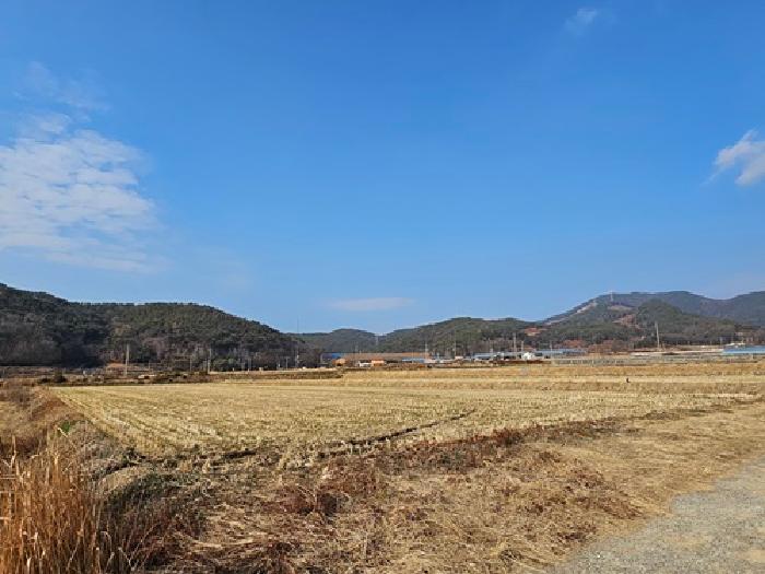 2025타경1059 전답 · 경상남도 하동군 진교면