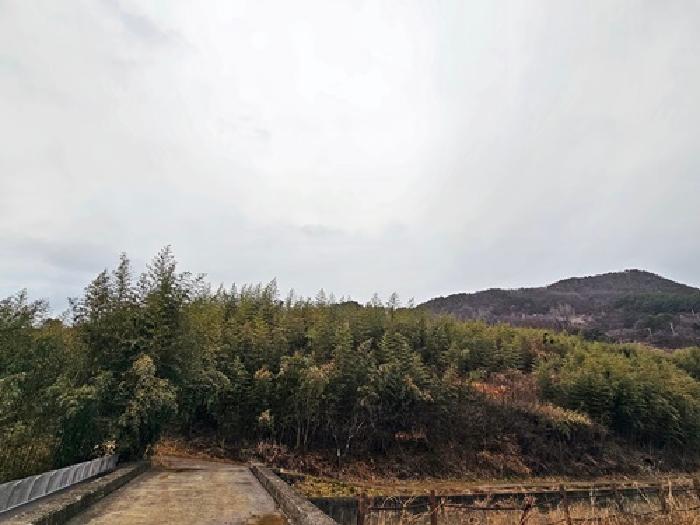 2025타경30614 임야 · 경상남도 하동군 악양면