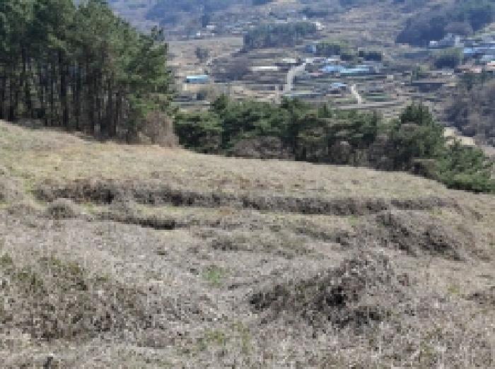 2025타경30655 · 경상남도 남해군 서면 정포리 535-1