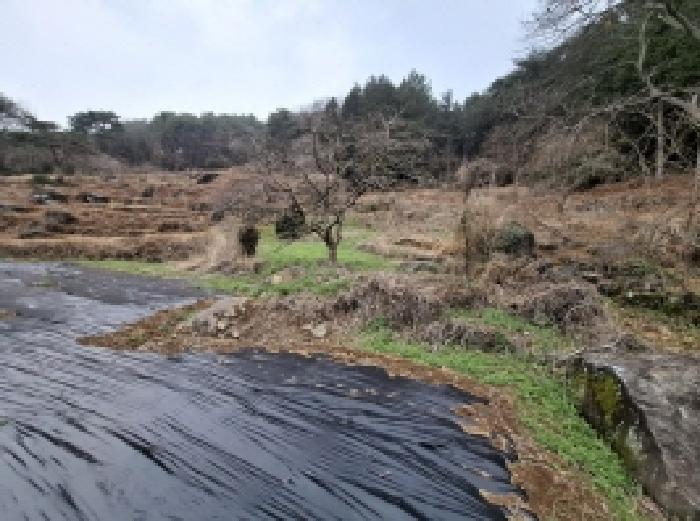 2025타경30687 · 경상남도 남해군 삼동면