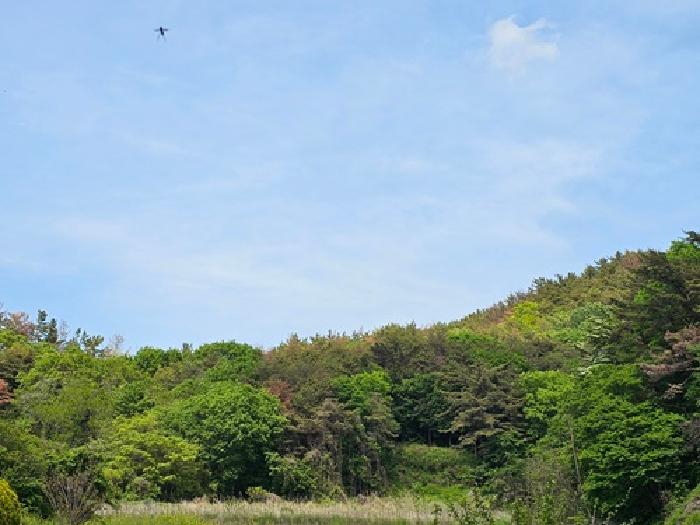 2025타경30703 임야 · 경상남도 진주시 금곡면 가봉리 산34