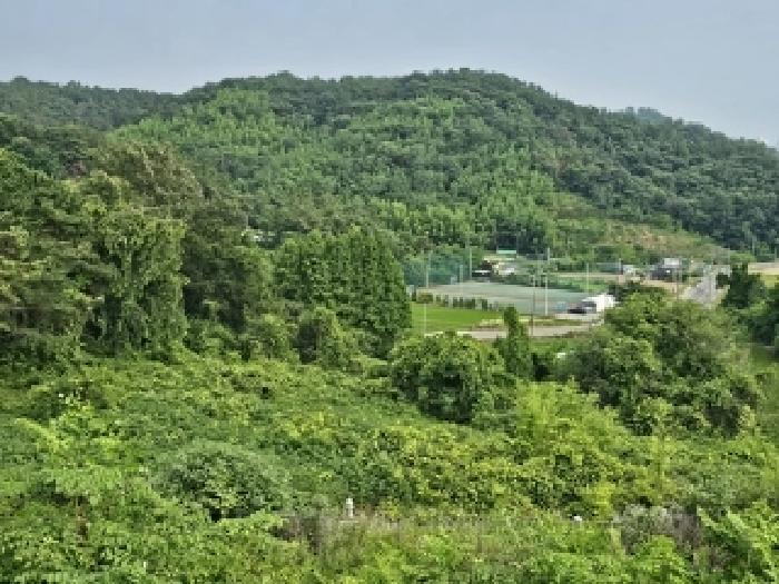 2025타경30855 전답 · 경상남도 진주시 금산면