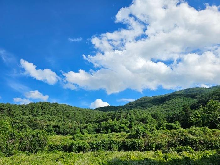 2025타경30859 임야 · 경상남도 산청군 산청읍 내리 산16-4