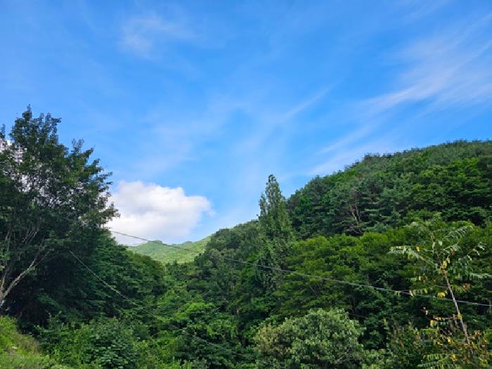 2025타경30865 임야 · 경상남도 하동군 화개면